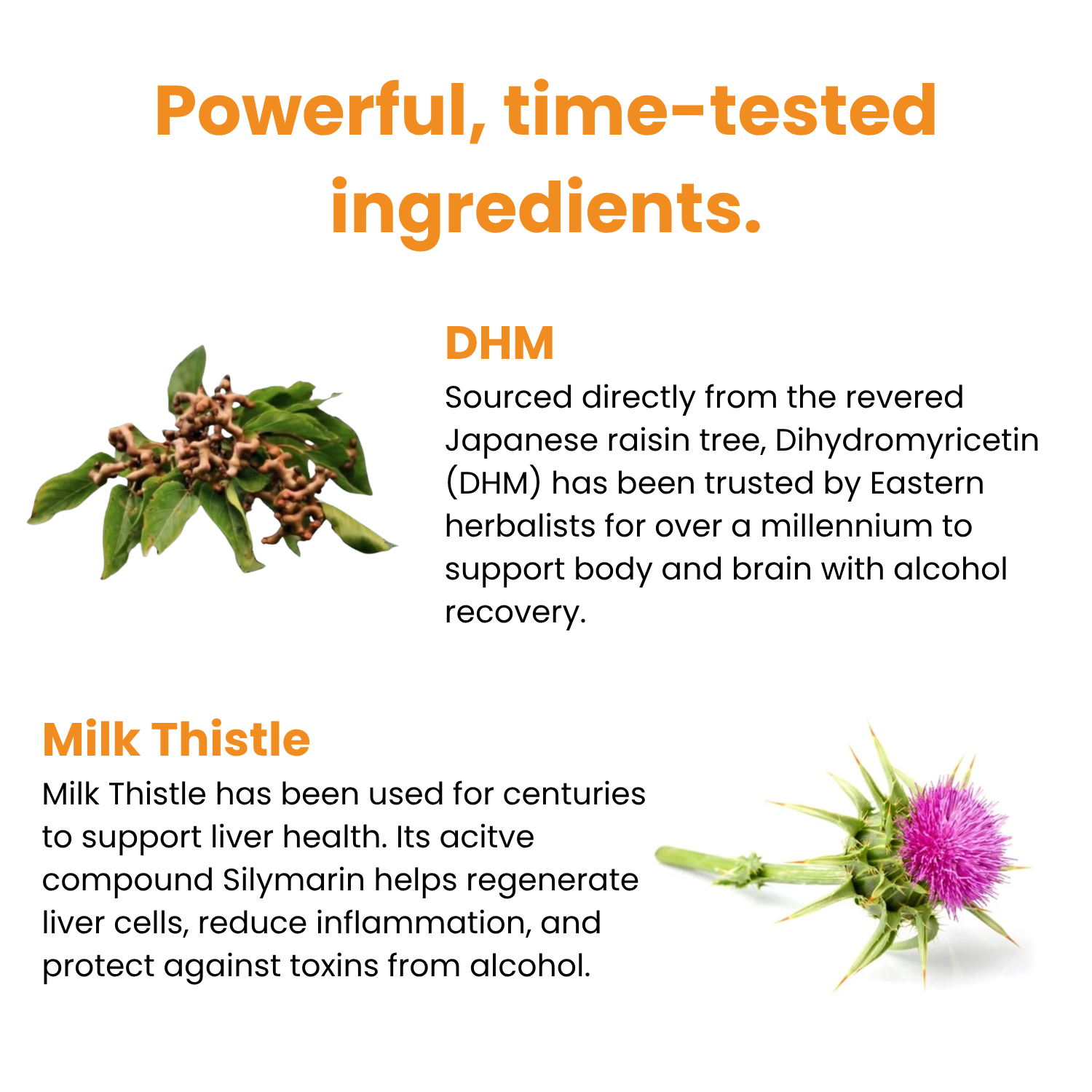 Smoother Landings After Drinking